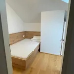 Casa Viva *