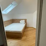 Casa Viva